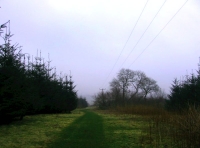 Shared access track to