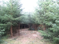 Southern clearing entrance