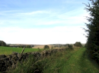 View from north boundary