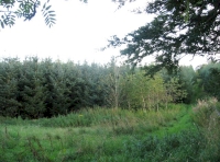 Northwest corner