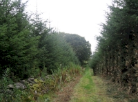 Internal perimeter track