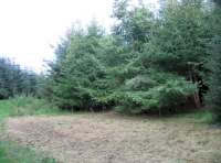 Northern clearing and internal ride