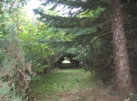 Brashed internal path to viewpoint