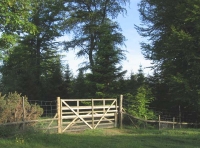 Shared western access gate