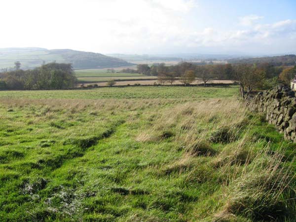 Woodhill Meadow - SOLD