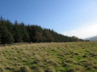 Woodhill Meadow - SOLD