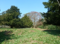 Yew Tree Wood - SOLD