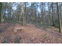 Apsley Wood - SOLD