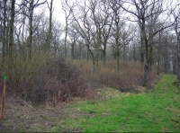 Bakers Wood - SOLD