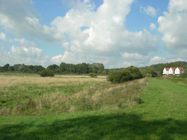 Bolt Meadow
