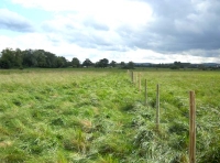 Bolt Meadow photo 2