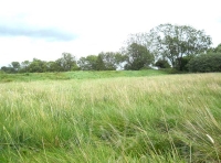 Bolt Meadow and the embankment