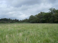 Bolt Meadow