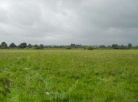 Looking south across Bolt Meadow