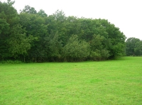 Bower Wood