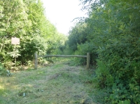 Broad Ash Wood - SOLD