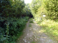 Broad Ash Wood