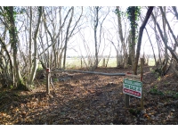 Brocket Wood - SOLD