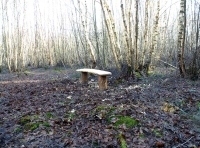 Colony Wood