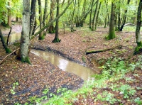 The stream by the main track