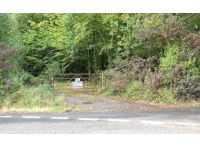 The road entrace to Davids Wood
