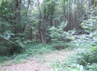 Deacon Wood - SOLD