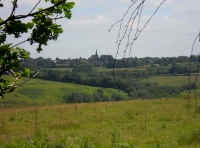 Flag Wood