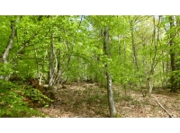 Herring Wood