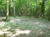 Hock Wood