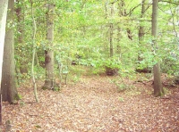 Islip Wood - SOLD