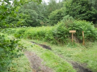 The entrance to Jib Wood