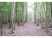 Juxon Wood