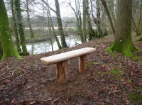 Lent Wood - SOLD