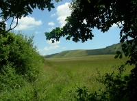 Longlands Wood - SOLD photo 3