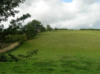 View west from Perch Wood