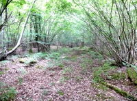 Port Wood - SOLD