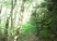 Porter Wood