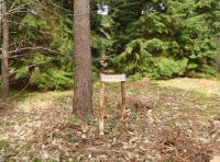 Pride Wood - SOLD
