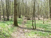 Snaffle Wood