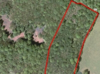 Southbrook Wood photo 7