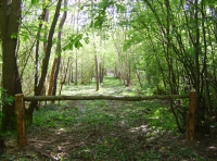 Southbrook Wood photo 8