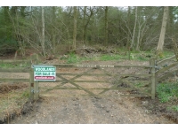 Weeks Wood - SOLD