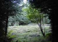Picnic bench