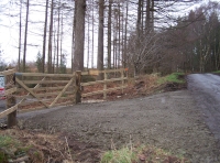 Bilberry Wood - SOLD