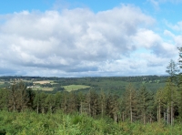 Broombank Wood - SOLD