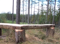 Bench with a view