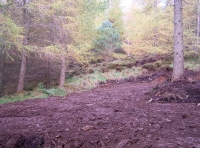 Turning area in the wood