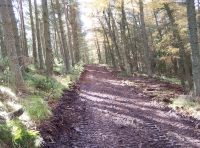 Main access track