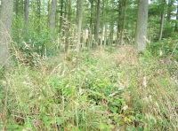 bio diversity