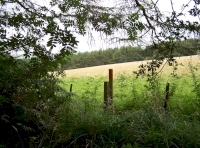 surrounding farm land.